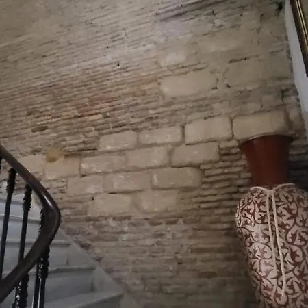 Gasthuis Fenix Jerez de la Frontera