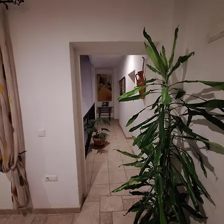 招待所 凤凰旅馆 赫雷斯