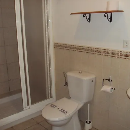 Fenix Guest house 3*