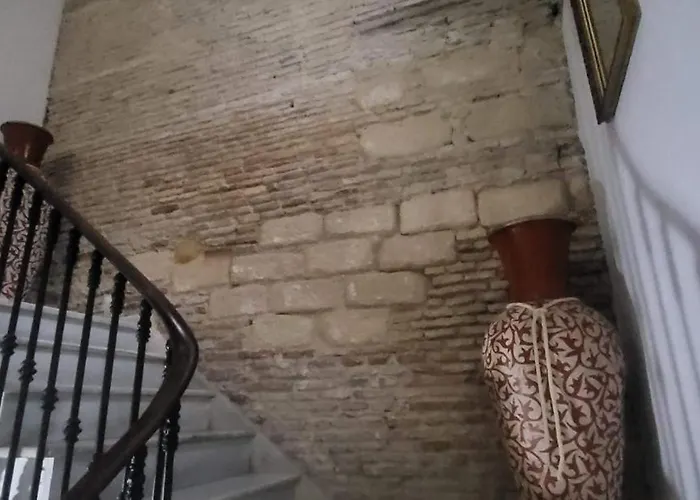 Casa de hóspedes Fenix Jerez de la Frontera