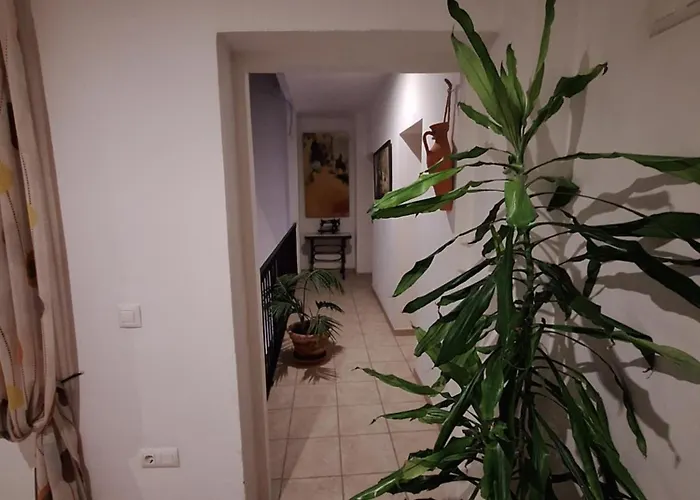 Casa de hóspedes Fenix Jerez de la Frontera