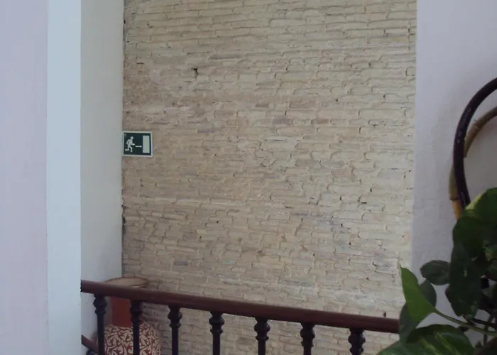 Fenix Jerez de la Frontera